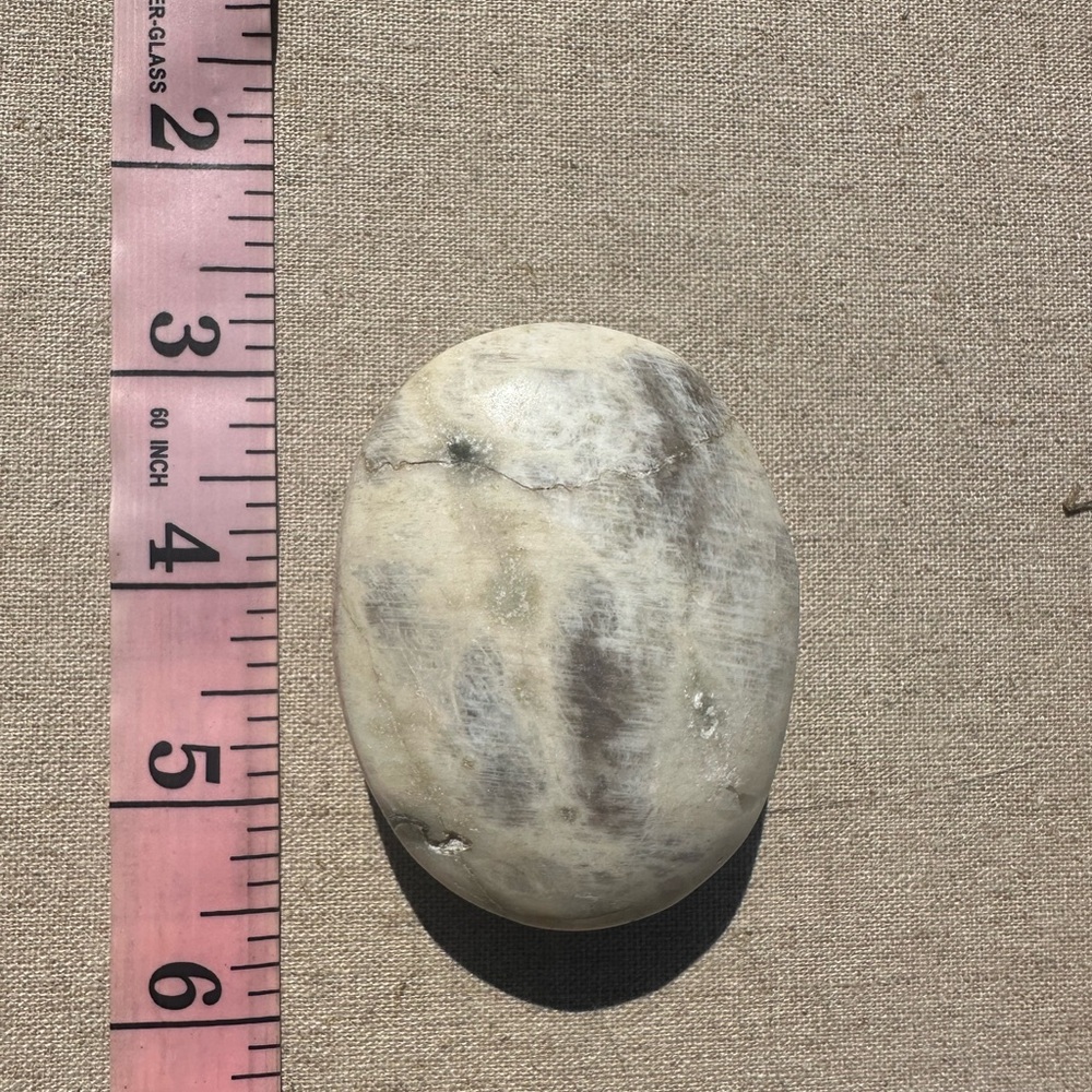 White Moonstone Palm